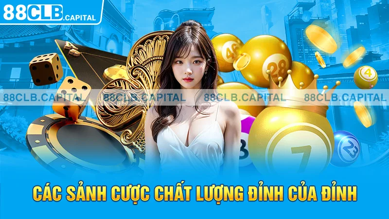 Các sảnh cược chất lượng đỉnh của đỉnh